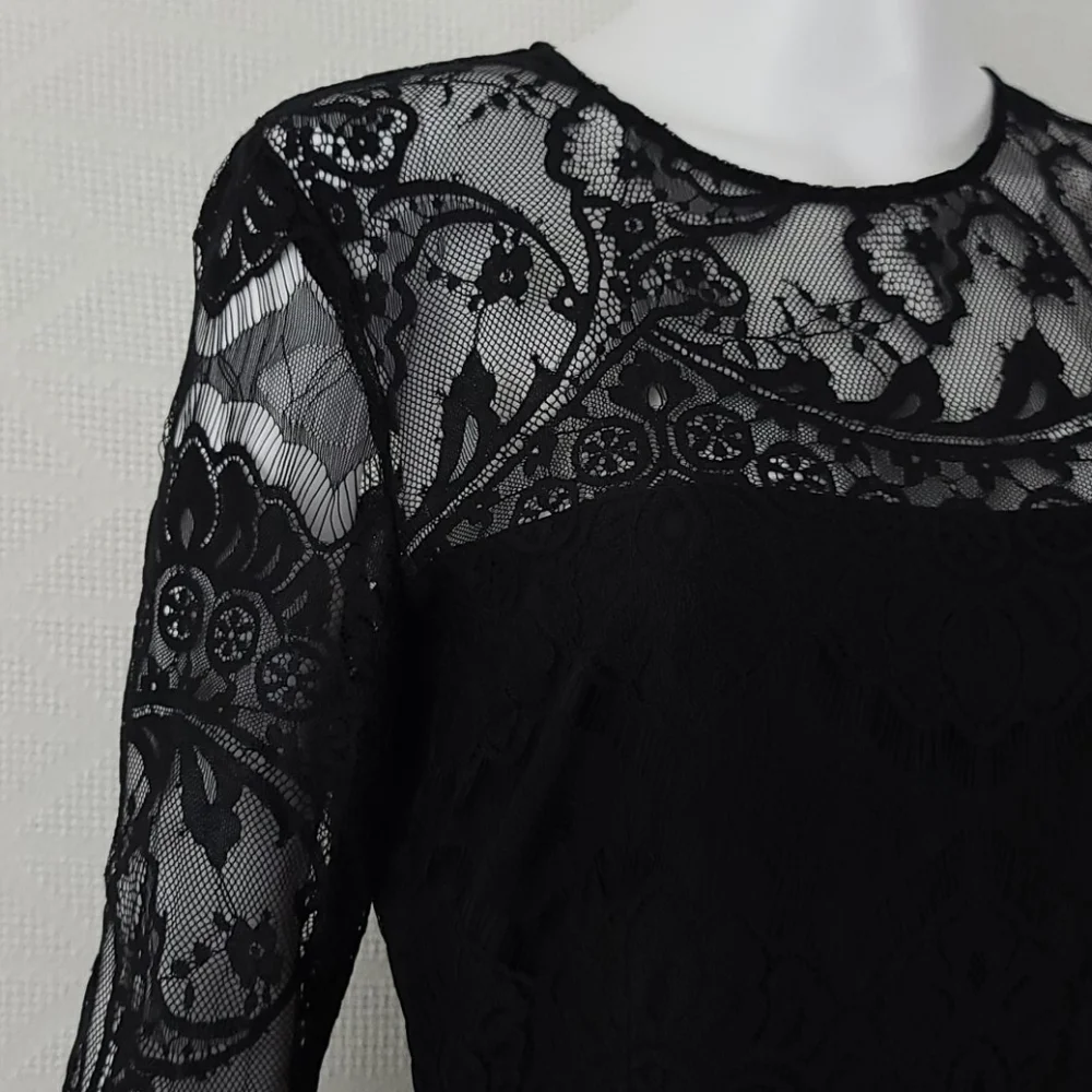 BB Dakota Jayce Lace Sheath Dress - Picture 10 of 15